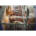 Equipamento à venda quente para criação de suínos na fazenda de suínos